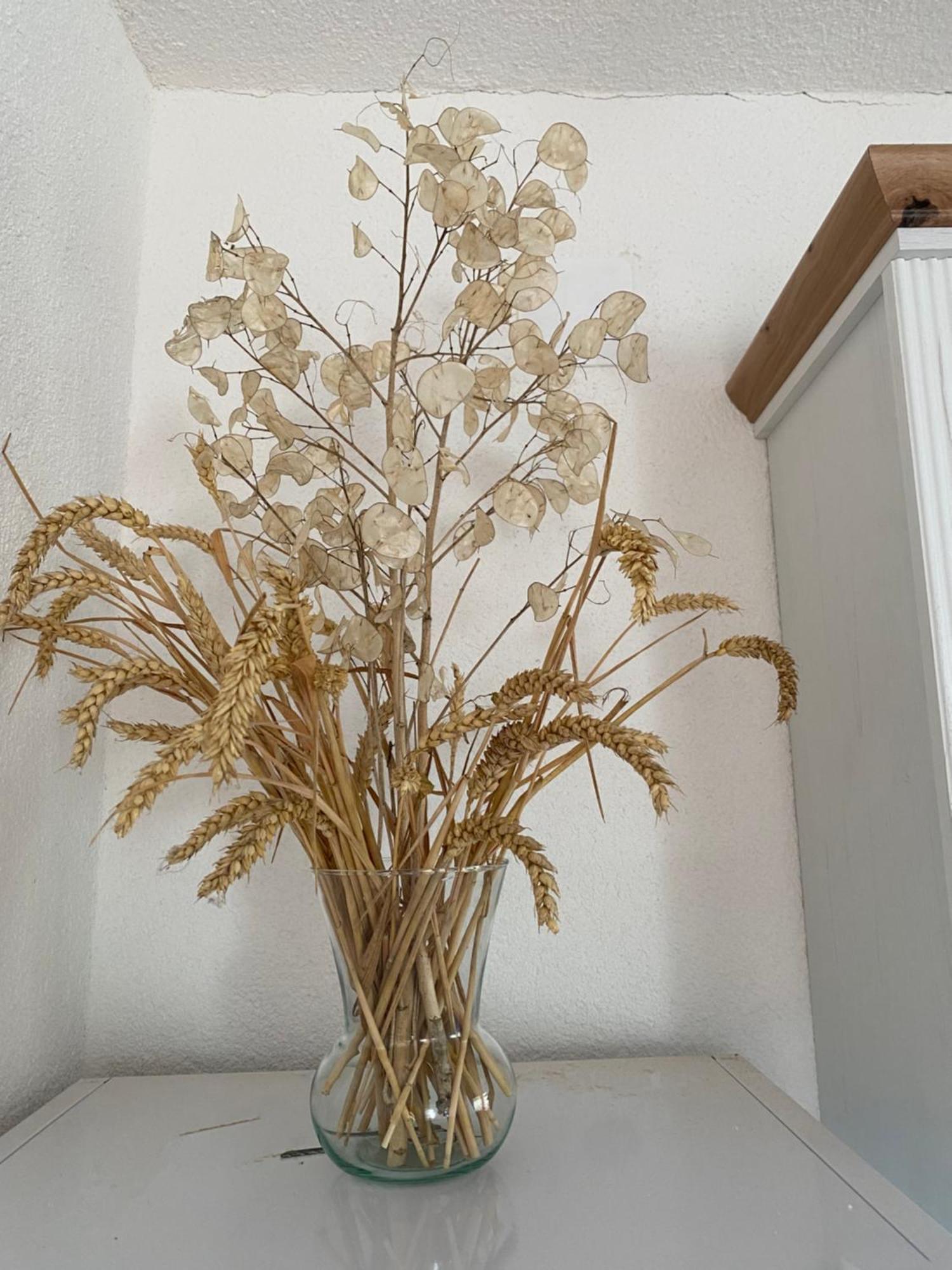 Apartman Kremen Kuterevo Zewnętrze zdjęcie